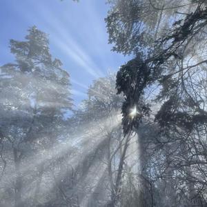 小🐔🐔伸进🈲🔞🔞男女
