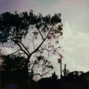 小🐔🐔伸进🈲🔞🔞男女
