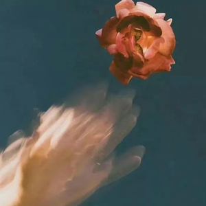 小🐔🐔伸进🈲🔞🔞男女
